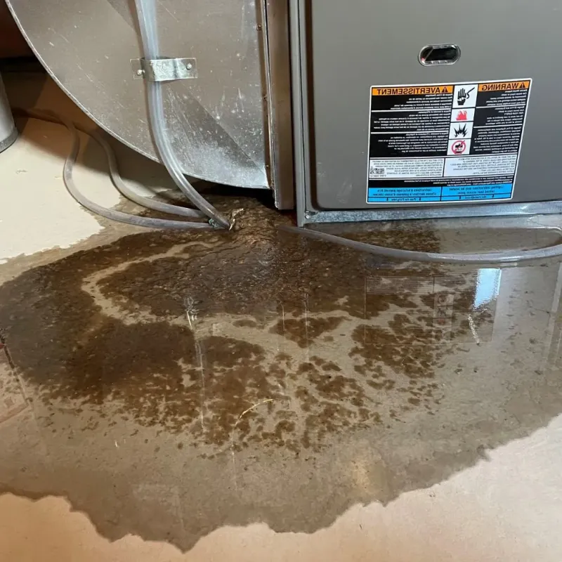 Pipe Burst and Leak Restoration in Montrose, NY